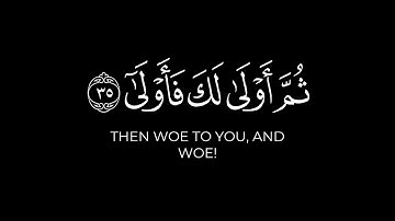 فلا صدق ولا صلى | ماهر المعيقلي كروما ايات قرانية سورة القيامة كرومات قرآن كريم شاشة سوداء