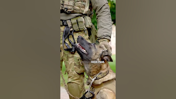 Wstąp do służby w policji i spełniaj swoje pasje jako przewodnik psa policyjnego.👮🐕‍🦺