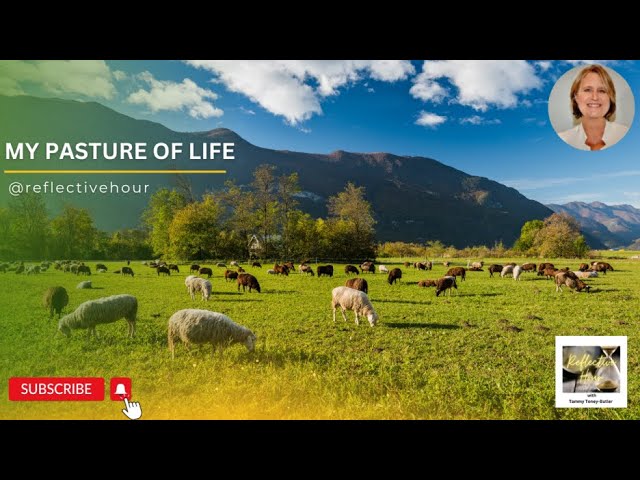 My Pasture of Life My Pasture of Life