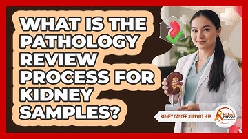What Is The Pathology Review Process For Kidney Samples?