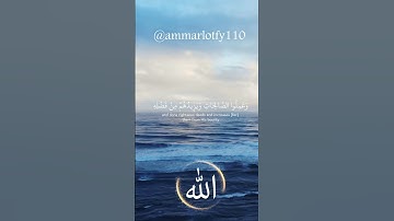 وهو الذي يقبل التوبة عن عباده ويعفو عن السيئات سوره الشورى #ياسر_الدوسري #ammar_lotfy110 #quran
