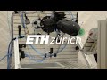 Fast Pick-and-Place Application with a Soft Robotic Arm