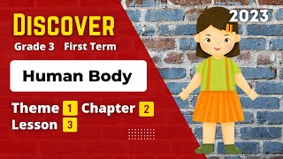 Grade 3 | Discover | Theme 1 - Chapter 2 - Lesson 3 | Human Body