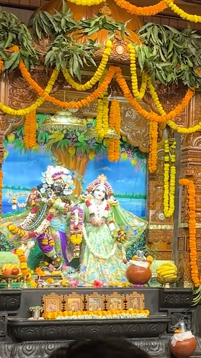 Hari Naam Hi Jeevan Hai❤️🌿 | #premanandjimaharajbhajan#bhajan #bhakti#radhe #krishna#harekrishna
