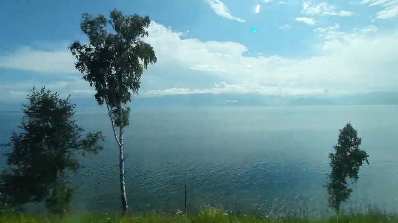 ������������