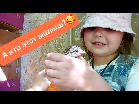 Это просто чудо-малыши😍
