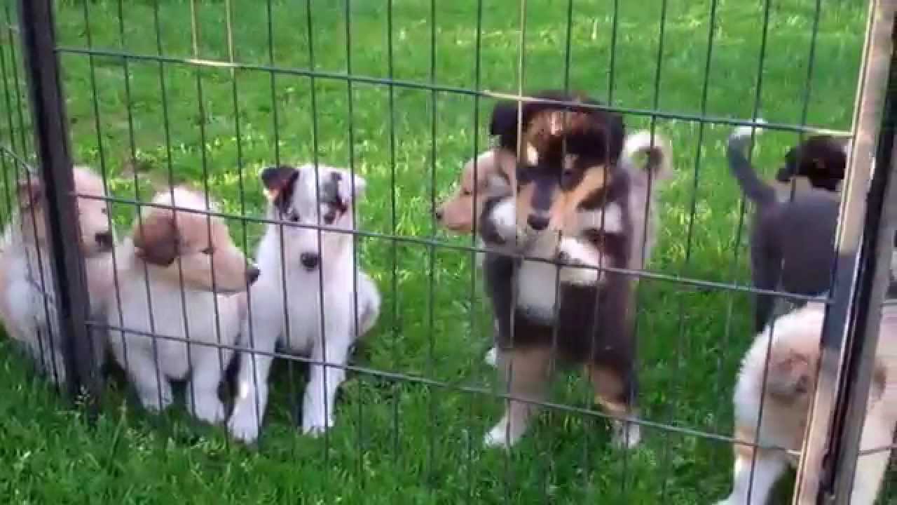 smoothdraw 2015 07 13 18 44 50