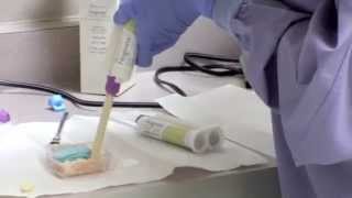 Noginate Alginate Substitute