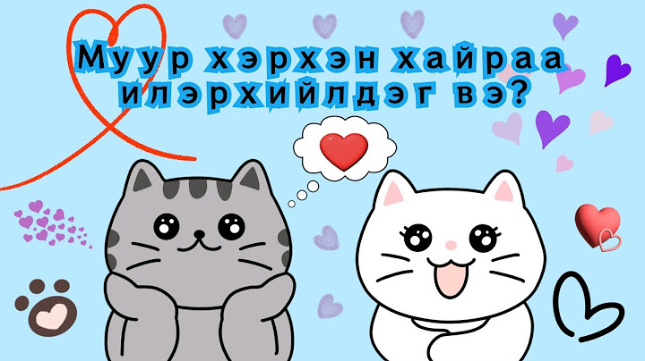 Муур хэрхэн хайраа илэрхийлдэг вэ?( Муурны биеийн хэл part1)