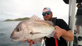 Amazing Session Fishing the Wash For Big old New Zealand Snapper by Trout Hunting NZ 6,703 views 11 months ago 13 minutes, 9 seconds