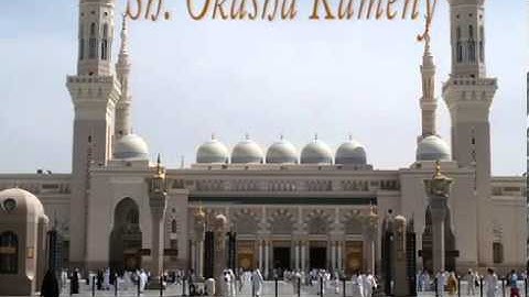 رواية قالون سورة المؤمن بصوت الشيخ عكاشة كميني