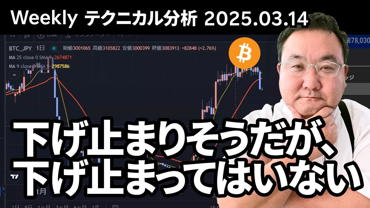 マトリックス法によるテクニカル分析（2025/3/14）下げ止まりそうだが、下げ止まってはいない