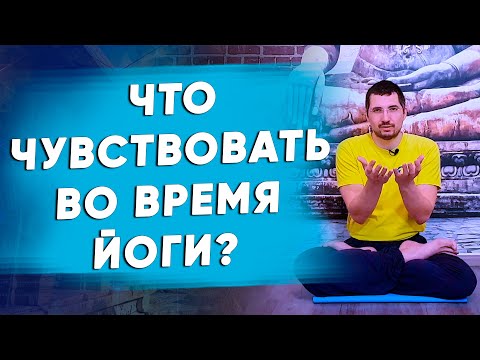 Видео: Какие 5 тел в йогической системе?