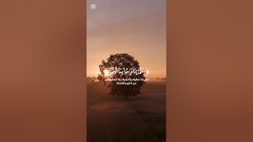 تلاوة مريحة من سورة الأنعام بصوت القارئ محمد البنا