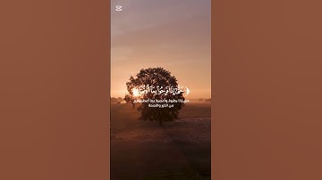 تلاوة مريحة من سورة الأنعام بصوت القارئ محمد البنا