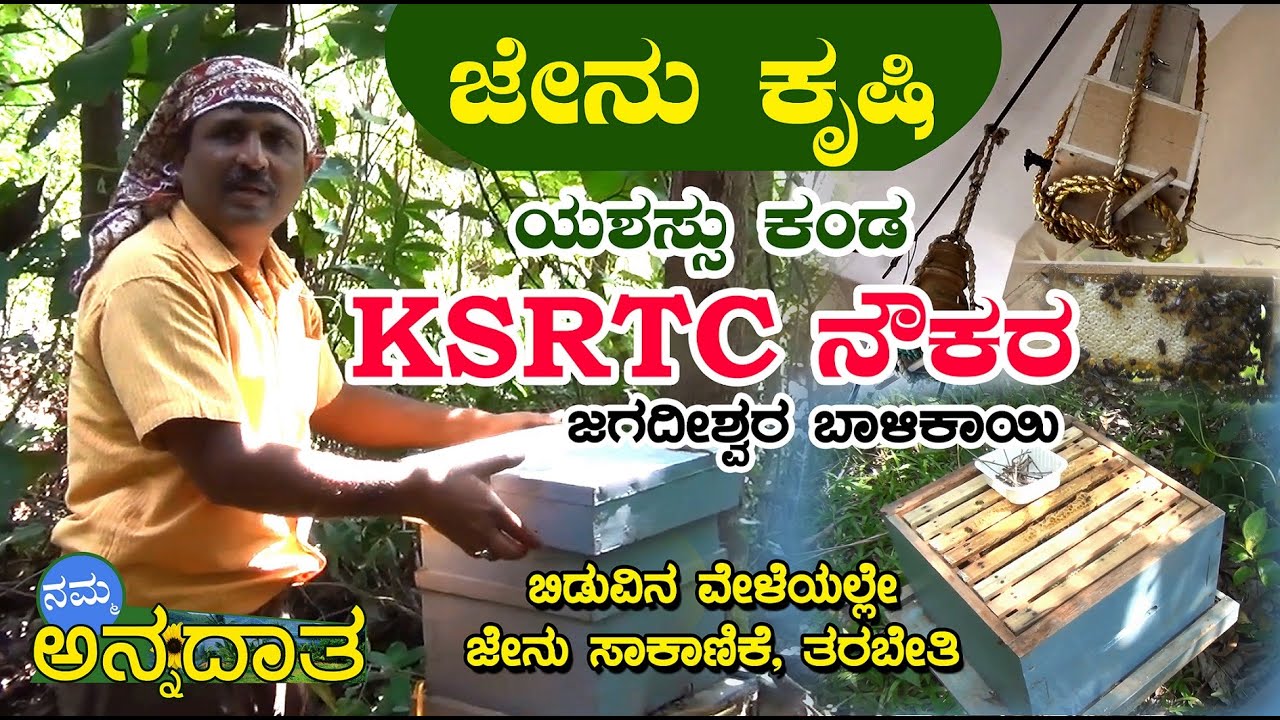 ನಮ್ಮ ಅನ್ನದಾತ | ಜೇನು ಕೃಷಿ | ಜಗದೀಶ್ವರ ಬಾಳಿಕಾಯಿ | Namma Annadata | Jagadishwar Balikayi | Honey Farming