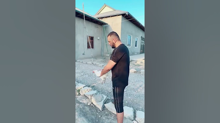 Sardor Gangster #sardor_gangster