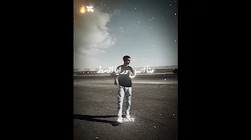 قاعد اعد الدولارات عصام صاصا 