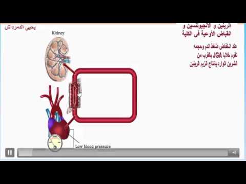 الهرمونات و التنظيم الأسموزي