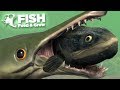 NEW FISH EATS THE SWAMP! - Fish Feed and Grow | HD