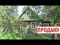 Дачный влог. Такая вот суббота!