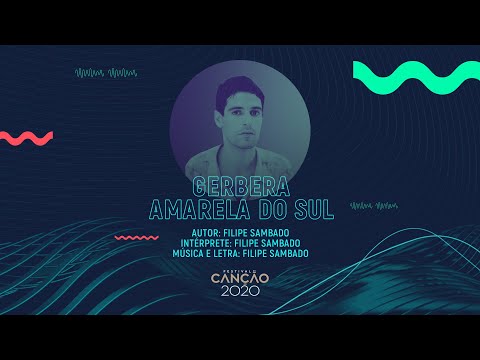 Filipe Sambado - Gerbera Amarela do Sul (Lyric Video) | Festival da Canção 2020