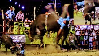 Que Monta  hizo el   Rancho Los Robles   padrino Las Familia Clemente  Carmona Mayordomos 2019