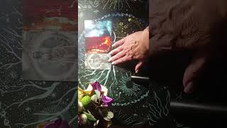 Чем ты его привлекла? #гаданиенатаро #любовьнатаро #tarotube #taro #гадание #судьбатаро #раскладтаро