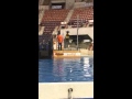 Dock dogs jumping contest