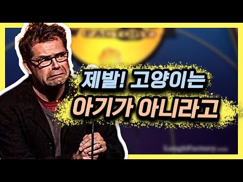 일부 고양이 주인들은 정신 좀 차려라 [스탠드업코미디]