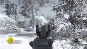 Call of Duty Black Ops Gun game on Array