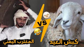 قصة المغترب اليمني vs كبش العيد | فيديو كوميدي يمني
