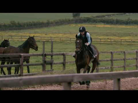 Horse Exercise Rider