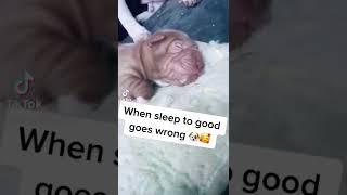 Sleeping To Good Gone Wrong