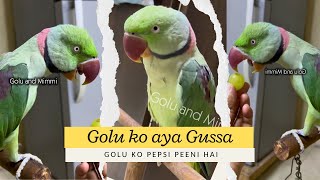 Golu Pepsi K Lie Ro Raha Hai Aur Mamma N Pepsi Nahi Deni