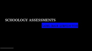 Schoology Assessments: Label Image Question