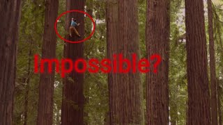 People Are Awesome Tree Climbing Edition