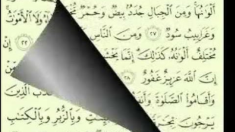 35  سورة فاطر تلاوة الشيخ ماهر المعيقلي مع الآيات