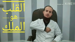 أهم عضو في الجسم