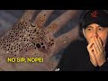 REACTING TO A TRYPOPHOBIA HORROR FILM | Weird Wednesday