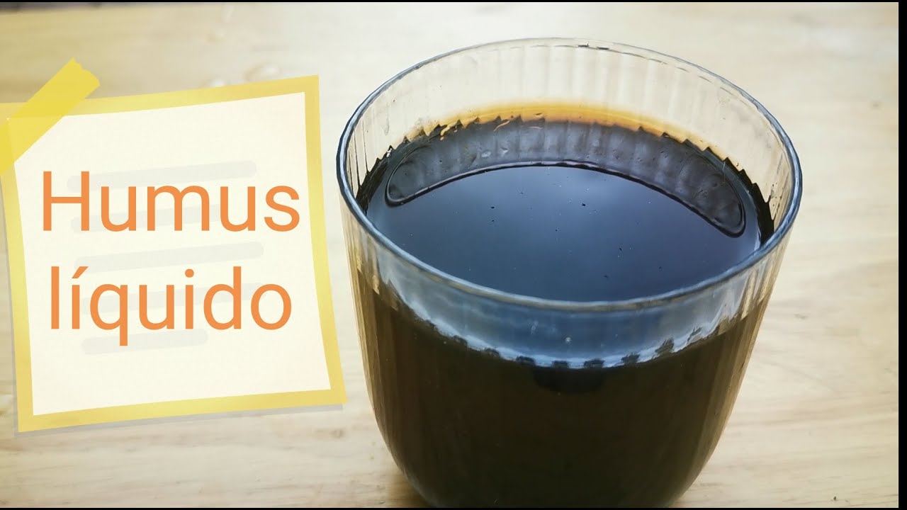 ☕️ Humus líquido de lombriz. Lixiviados. Aplicación. Ya no tendrás dudas