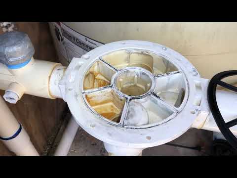 Pentair Multiport Valve Gasket Fun