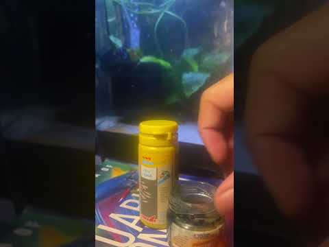 Sera Micron Fry Food review