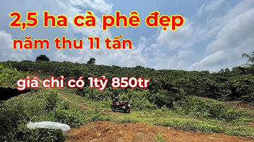 Chủ nhà bán 2,5ha cà phê nguồn thu cực mạnh năm thu 11 tấn cf ngay trung tâm trường chợ giá rẻ