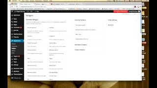 Footer and Sidebar Widgets