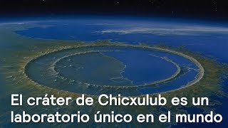 El cráter de Chicxulub, un laboratorio único en México y el mundo