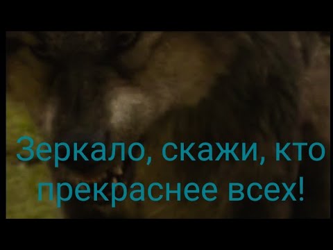 Песни зеркало скажи кто прекрасней всех