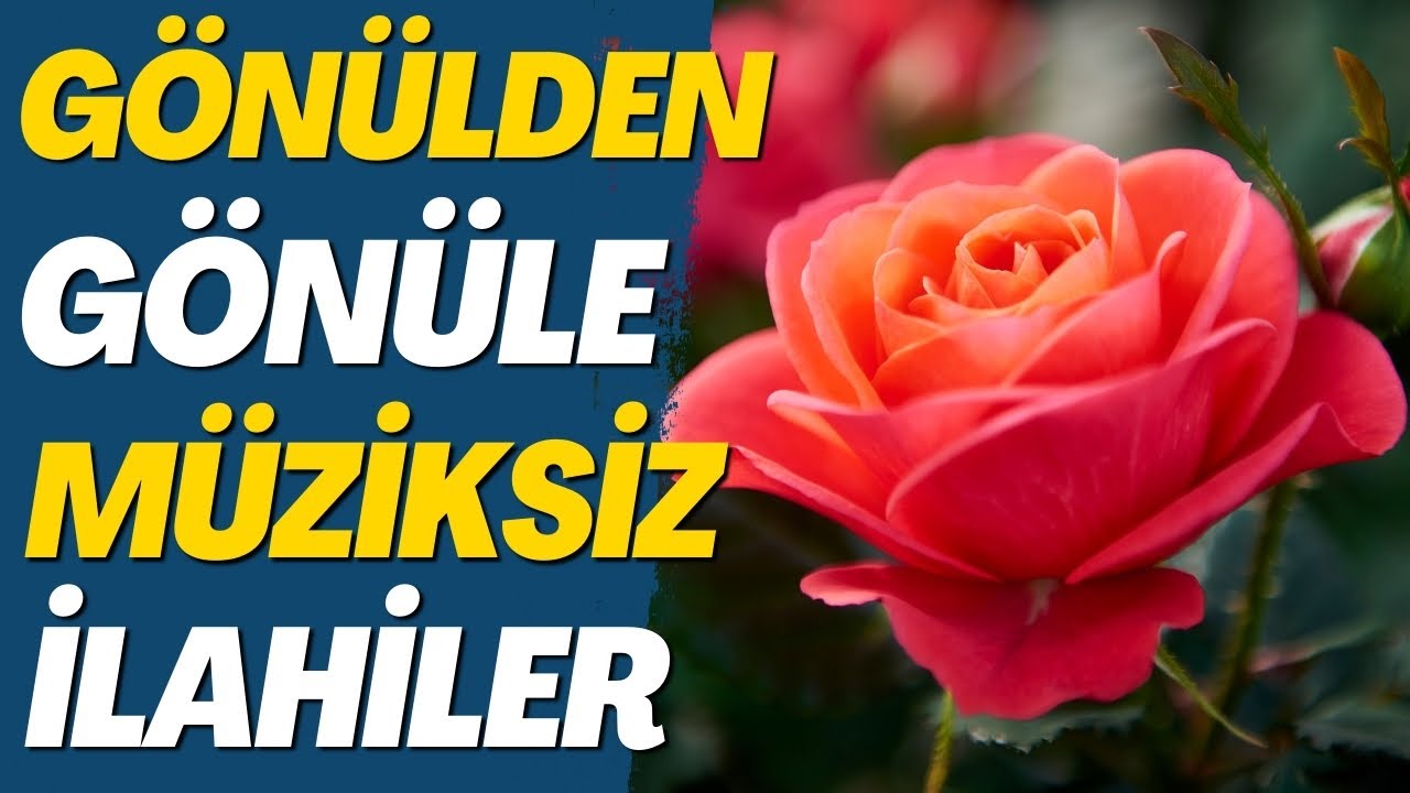 GÖNÜLDEN GÖNÜLE MÜZİKSİZ İLAHİLER #ilahi #engüzelilahiler #müziksizilahidinle