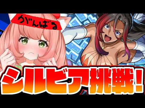 【🔴モンスト77回目】シルビア挑戦！参加型！初見さん大歓迎。毎日モンスト配信【博多弁猫Vtuberゆっきん】