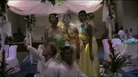 happy birthday bardot!